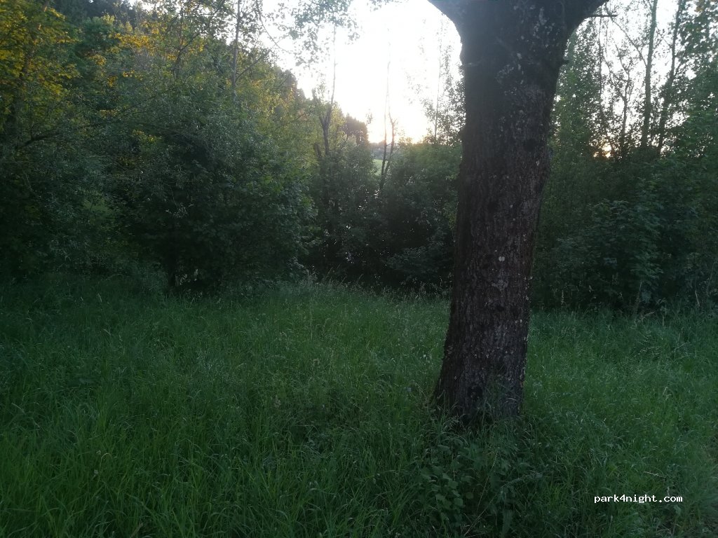(72178) Waldachtal - K4702 — foto 2