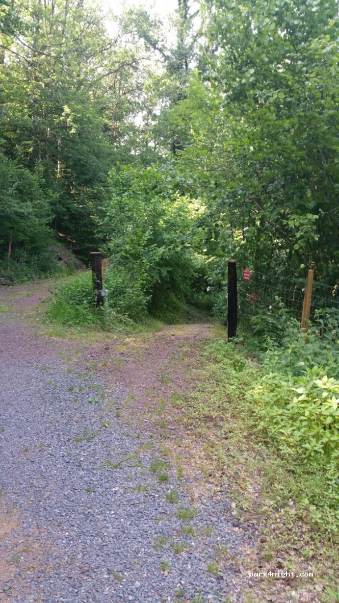 (88210) Ban-de-Sapt - 10 Laitre — foto 2