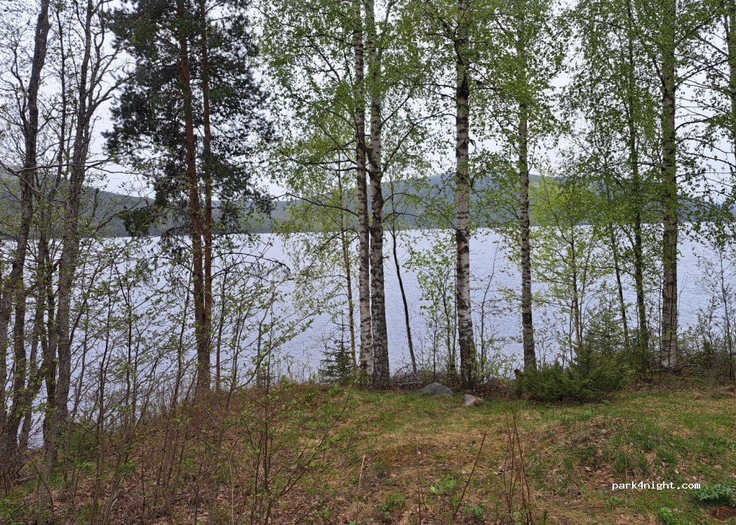 (2485) Koppang - Sekundær Fylkesvei 30 — foto
