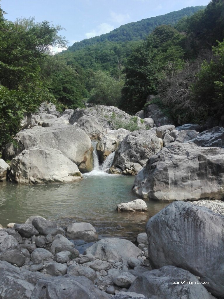 ()  - Gordi-Nogha-Dzedzileti — foto