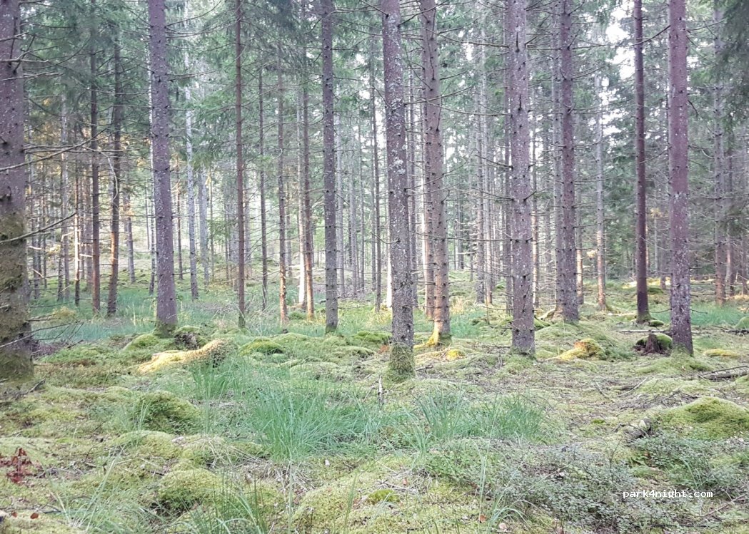 (340 13) Hornsborg - Hornsborg 28 — foto 3