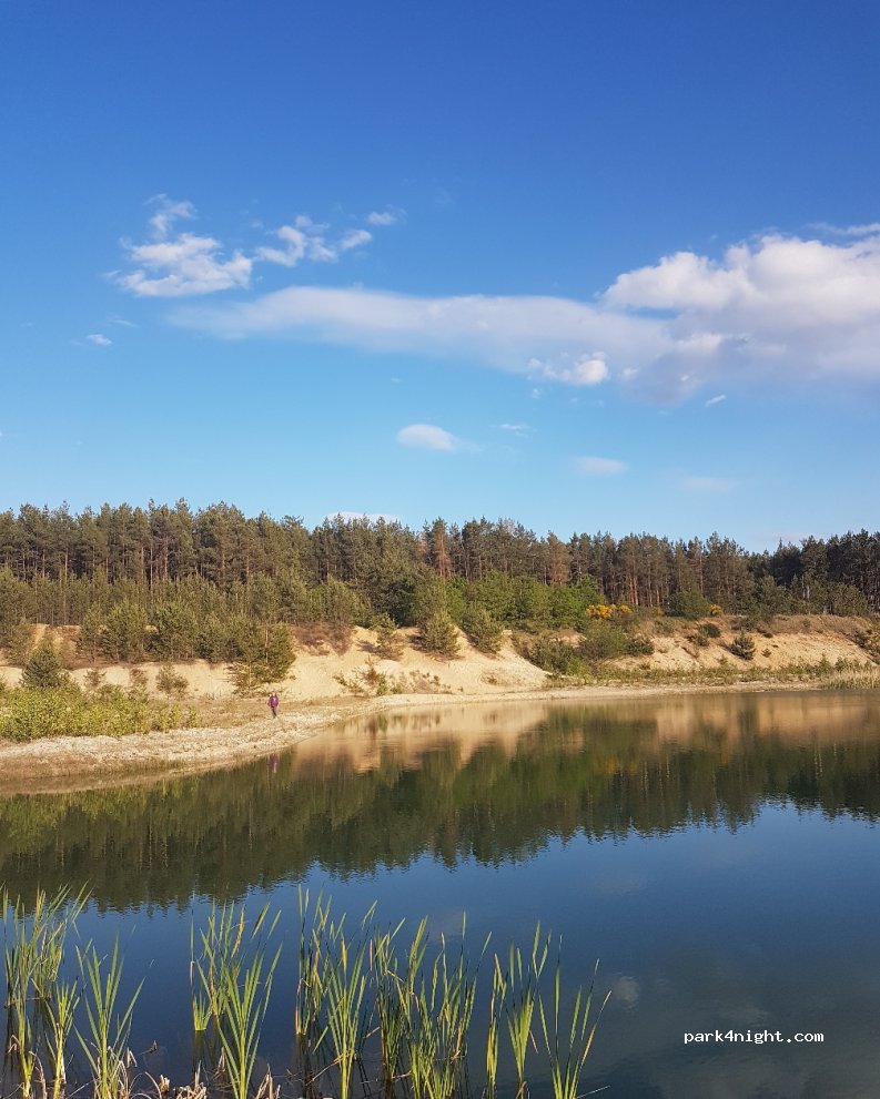 (03149) Wiesengrund - Unnamed Road — foto 2