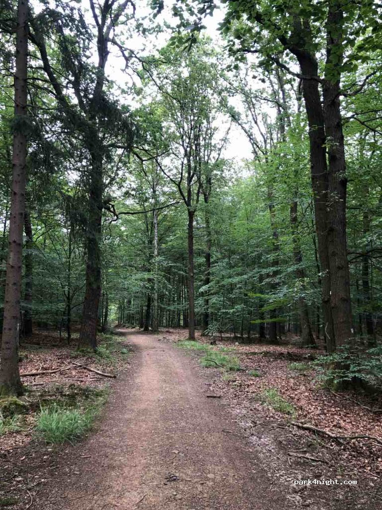 Camping Mont Dragon — foto 3