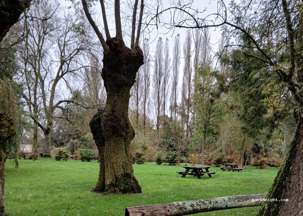 (41800) Couture-sur-Loir - 171 Le Pin — foto 5