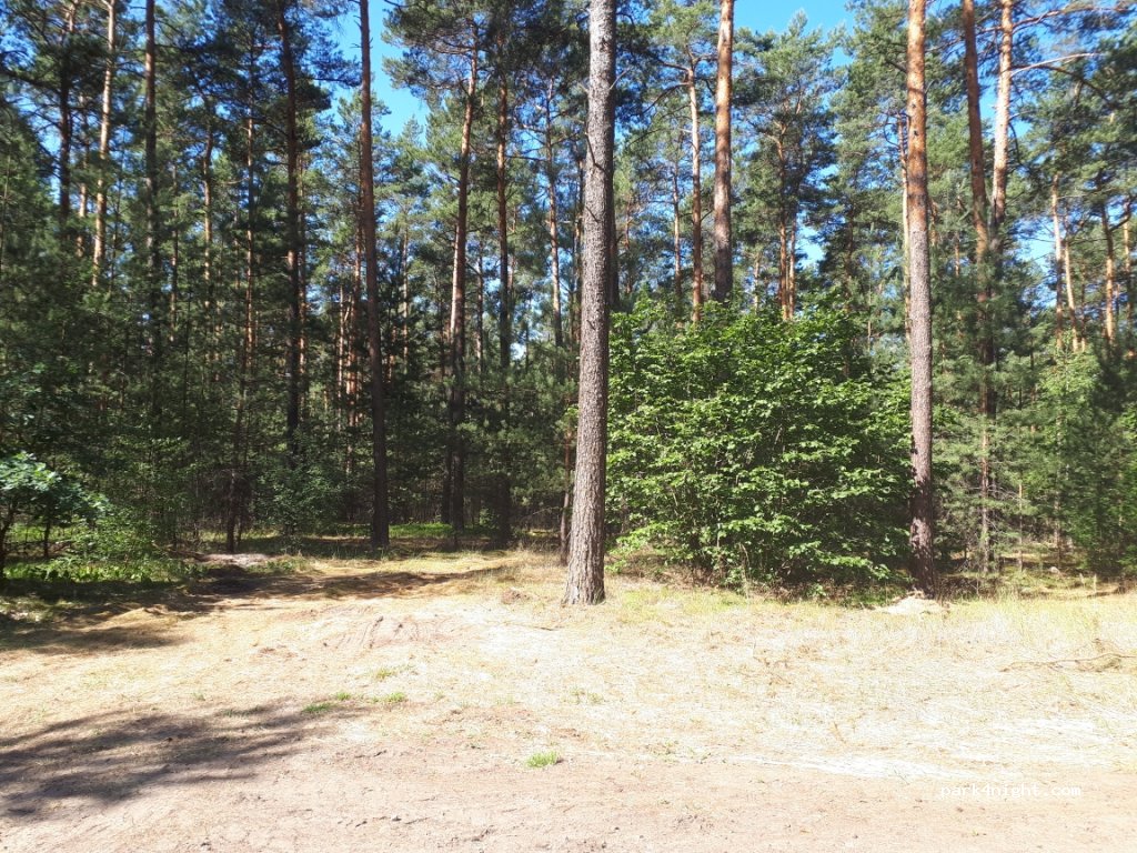 (15757) Halbe - L74 — foto 2