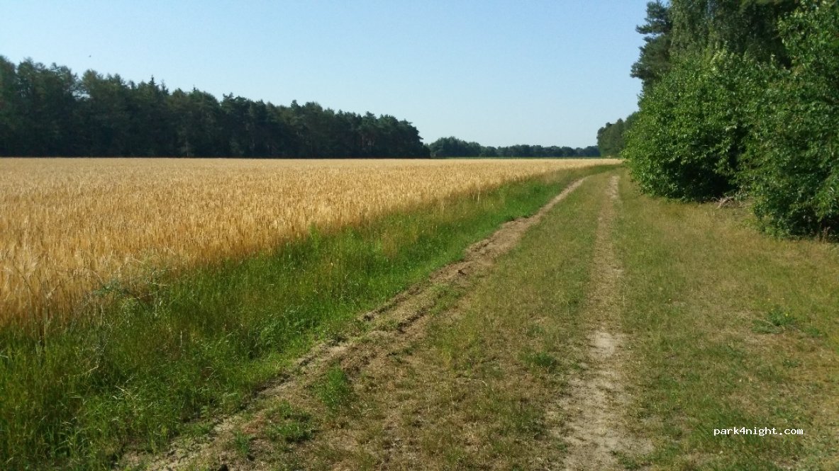 (49740) Haselünne - Unnamed Road — foto