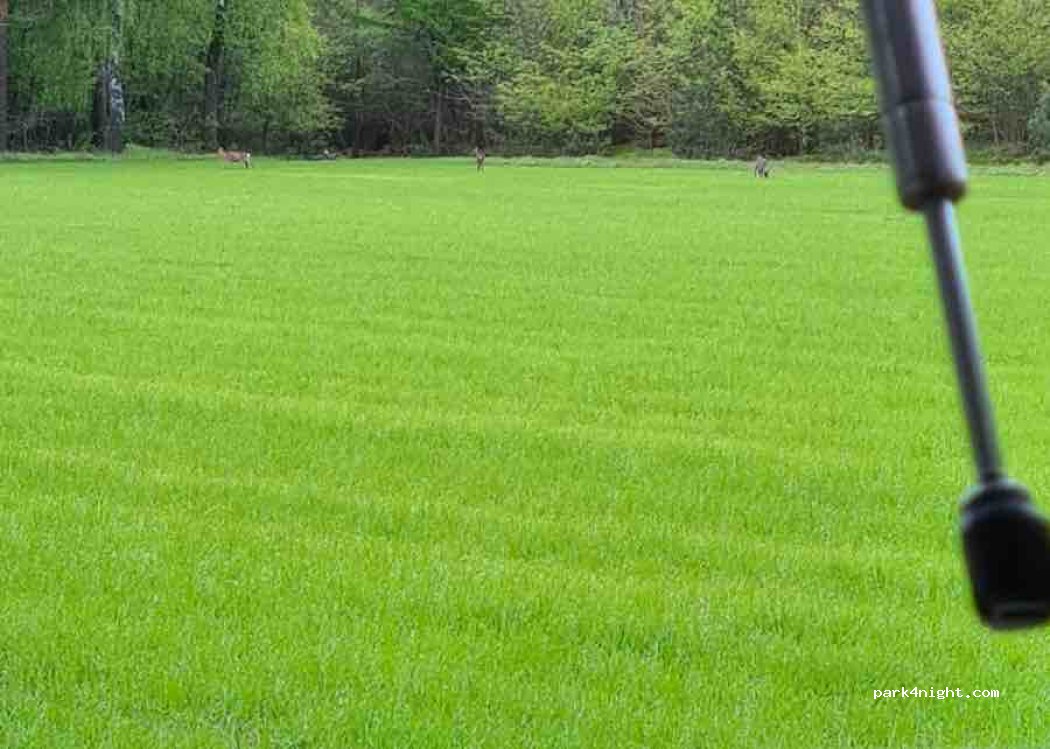(49740) Haselünne - Unnamed Road — foto 4