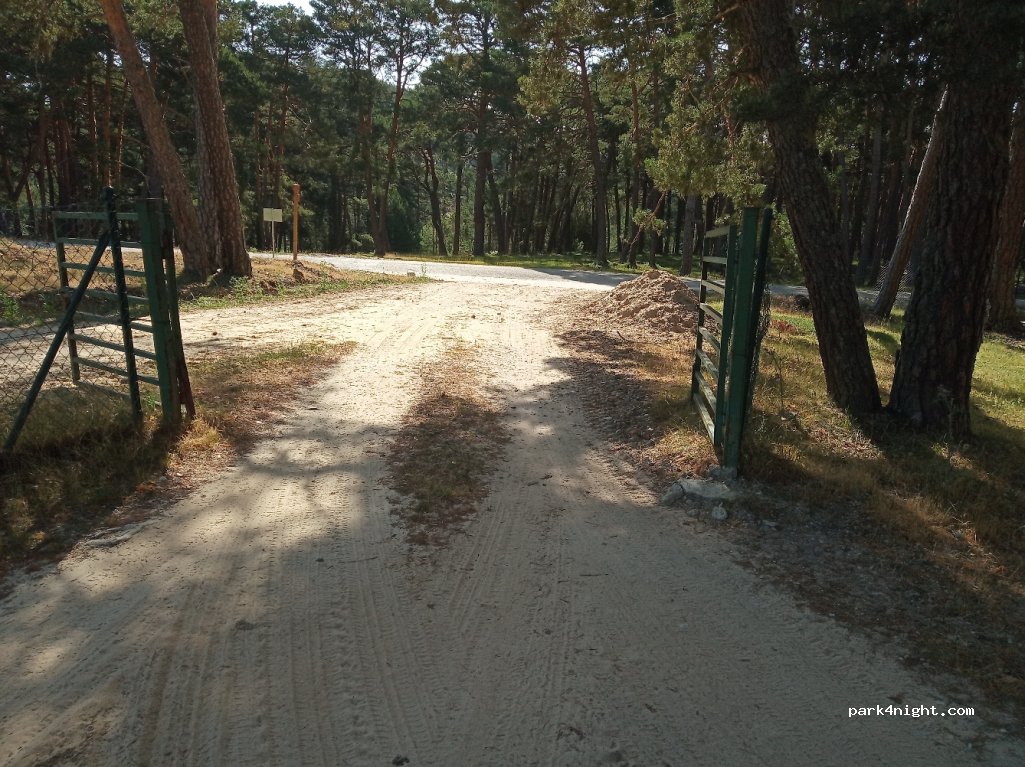 (42146) Cabrejas del Pinar - Unnamed Road — foto 3