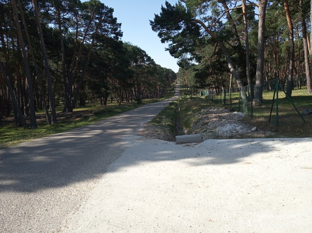 (42146) Cabrejas del Pinar - Unnamed Road — foto 4