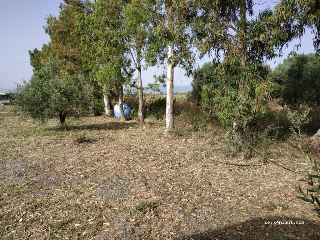 Agriturismo Riu Sa Murta — foto 3