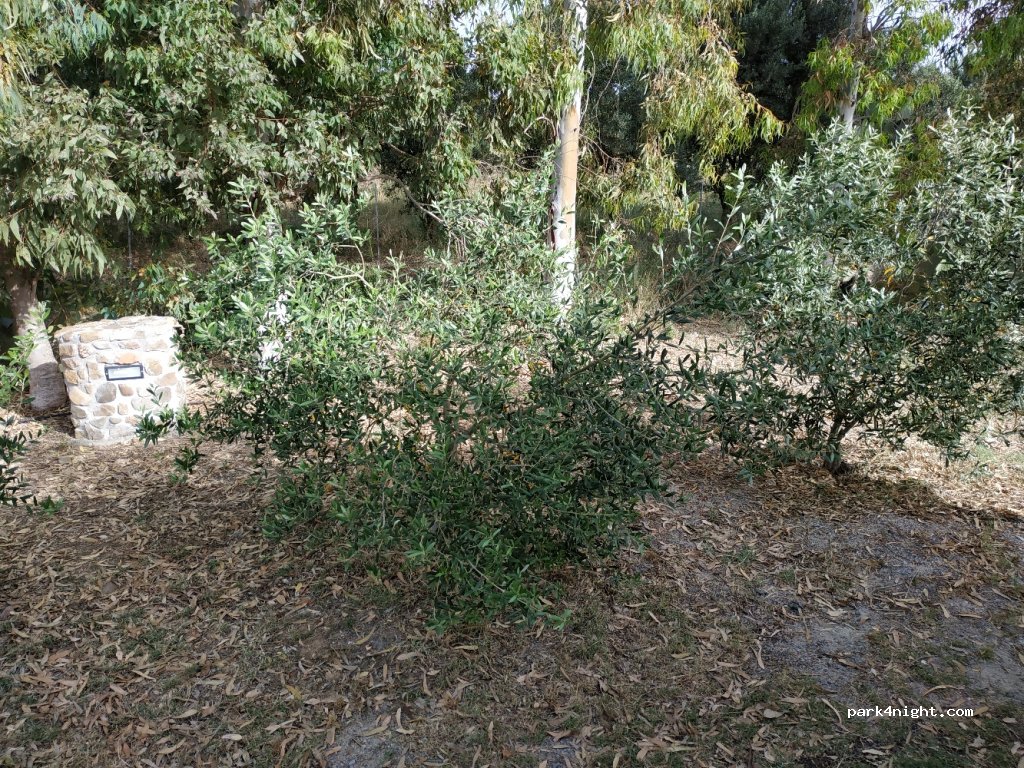 Agriturismo Riu Sa Murta — foto 4