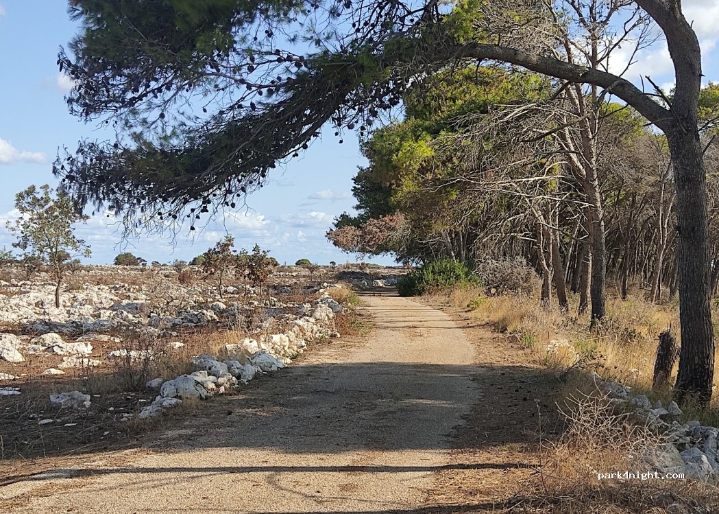(73020) Santa Cesarea Terme - 50 SP358 — foto 2