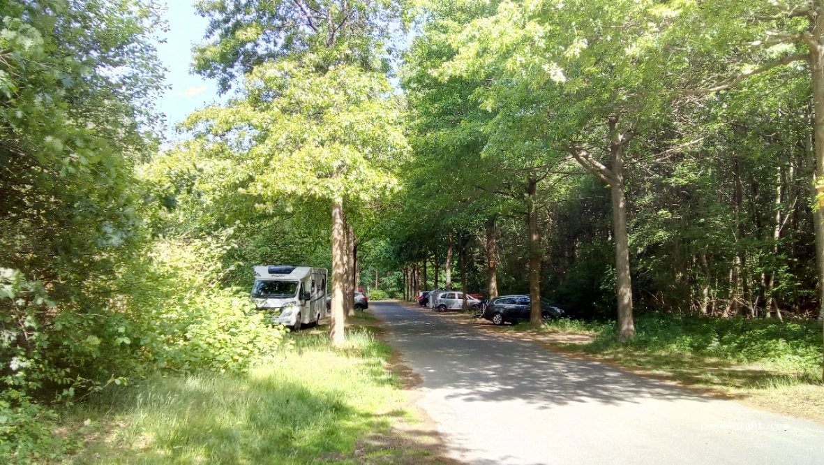(49716) Meppen - 40 Schlagbrückener Weg — foto 2