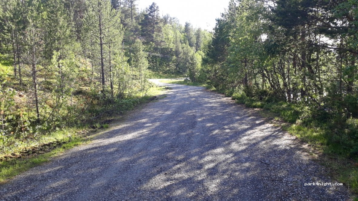 (2550) Os i Østerdalen - Fv28 — foto