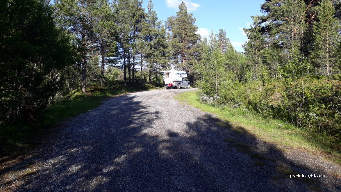 (2550) Os i Østerdalen - Fv28 — foto 2