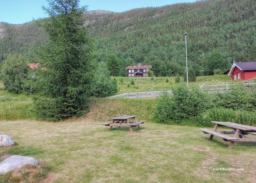 (3629) Nore - 40 Primær Fylkesveg 40 — foto
