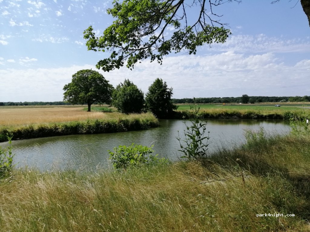 (41350) Saint-Claude-de-Diray - Unnamed Road — foto 2