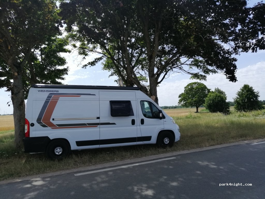 (41350) Saint-Claude-de-Diray - Unnamed Road — foto 3