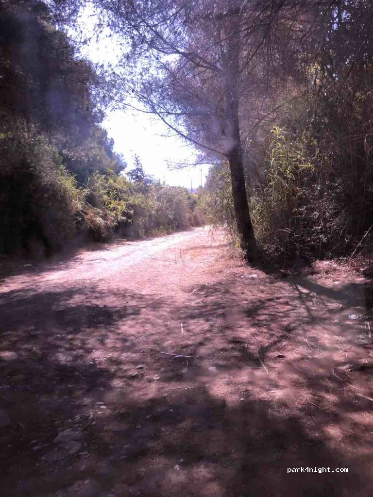 (07811) Sant Joan de Labritja - 50 Diseminado Port S Vicent — foto 3