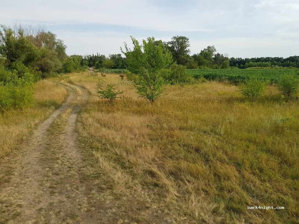 (935 57) Jur nad Hronom - 76 — foto 3