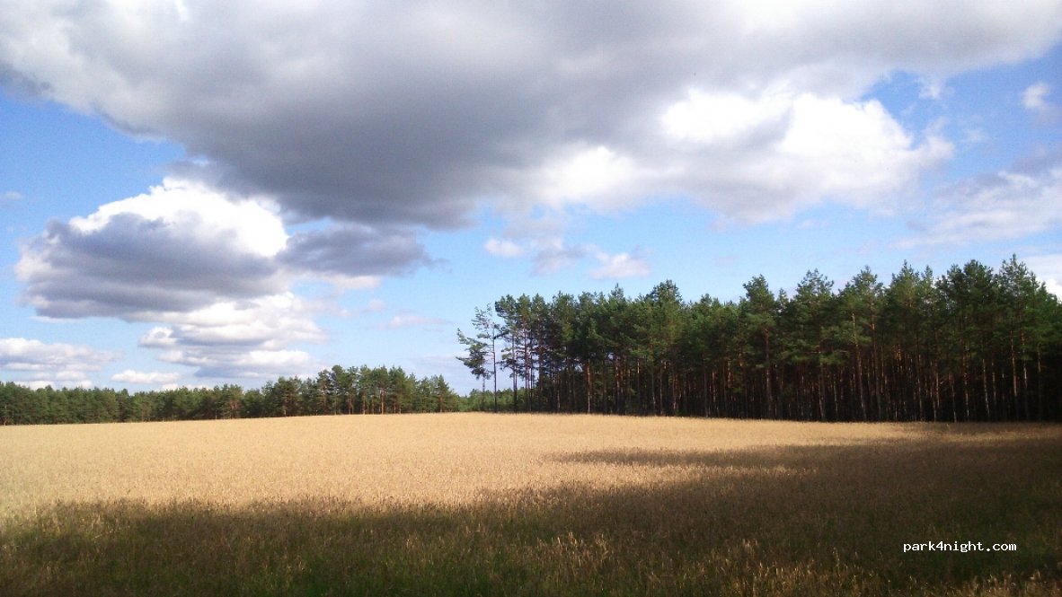 Agrokemping Urszula i Jerzy Borzyszkowscy — foto 2