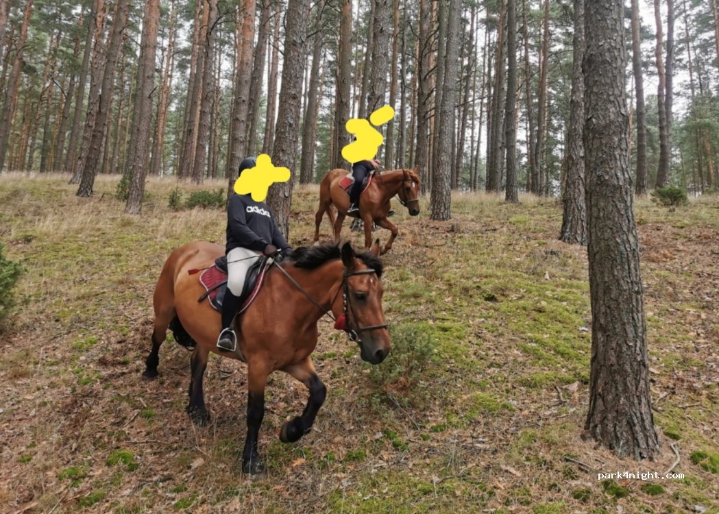 Agrokemping Urszula i Jerzy Borzyszkowscy — foto 3