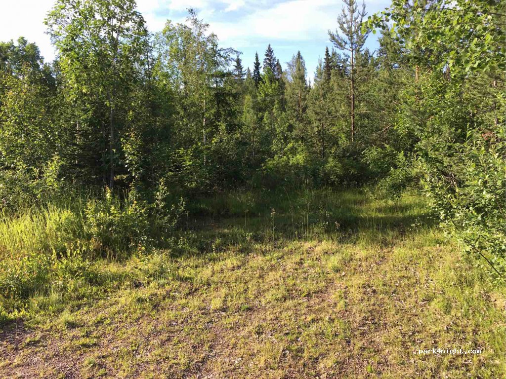 (794 98) Orsa - Unnamed Road — foto