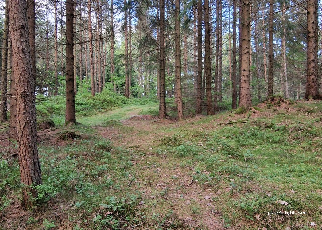 (4516) Mandal - 1179 Tregdeveien — foto 3