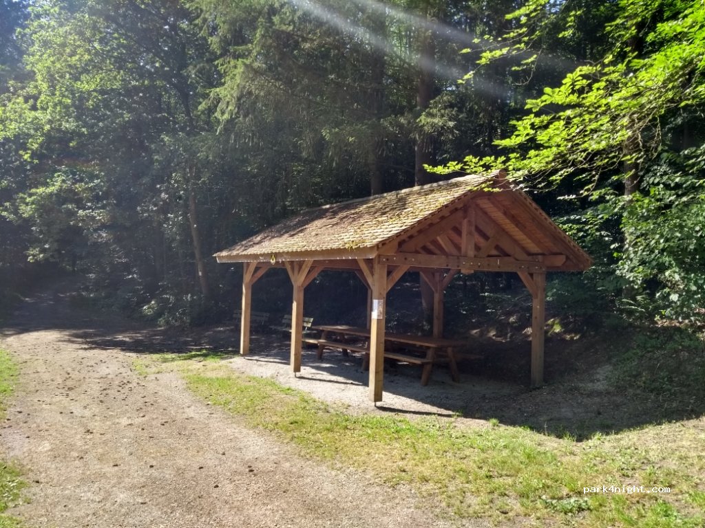 (67630) Salmbach - D3 — foto