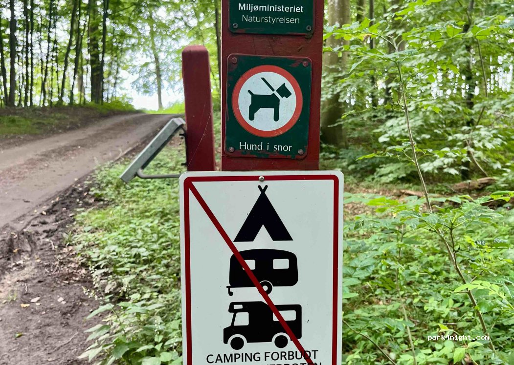 (6430) Nordborg - Unnamed Road — foto 4