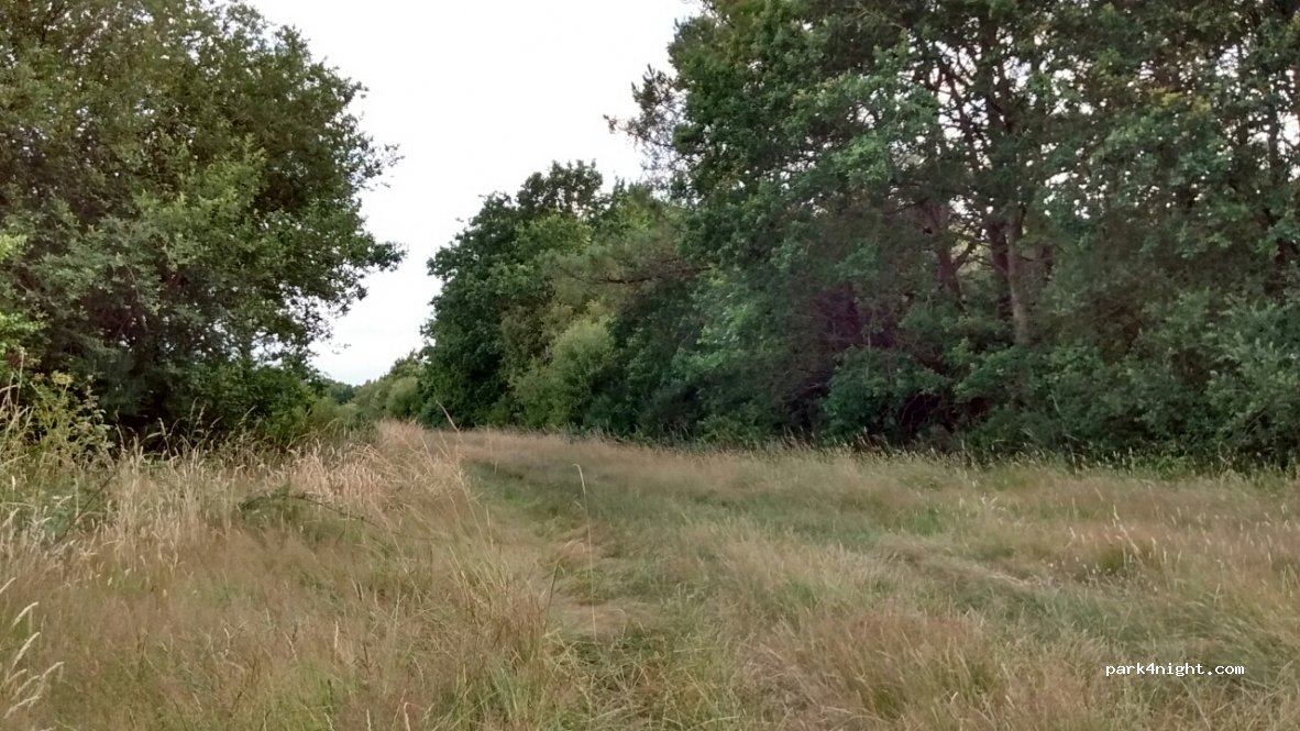 (44580) Bourgneuf-en-Retz - Unnamed Road — foto
