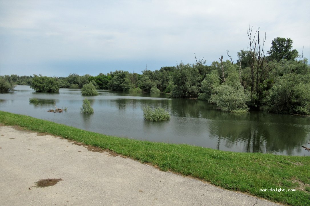 (31309) Kneževi Vinogradi - Unnamed road — foto 2