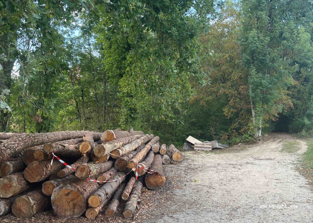 (01370) Viriat - Chemin de l'Étang de Bu — foto 4