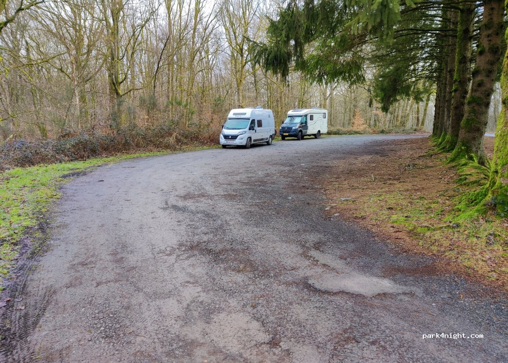 (08800) Tournavaux - Route forestière de la Lyre — foto 2