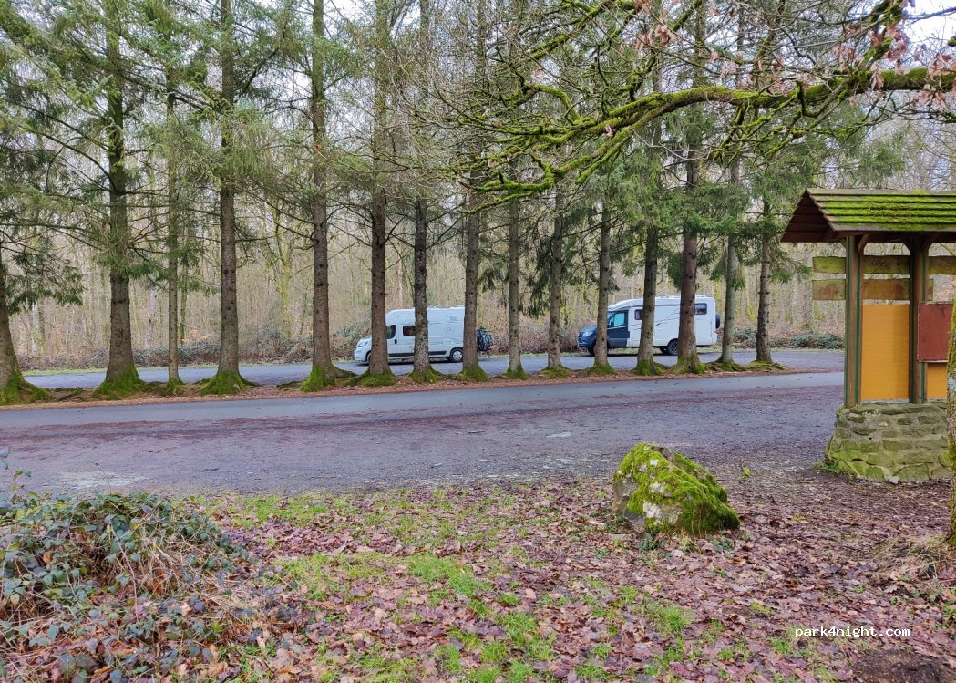 (08800) Tournavaux - Route forestière de la Lyre — foto 3