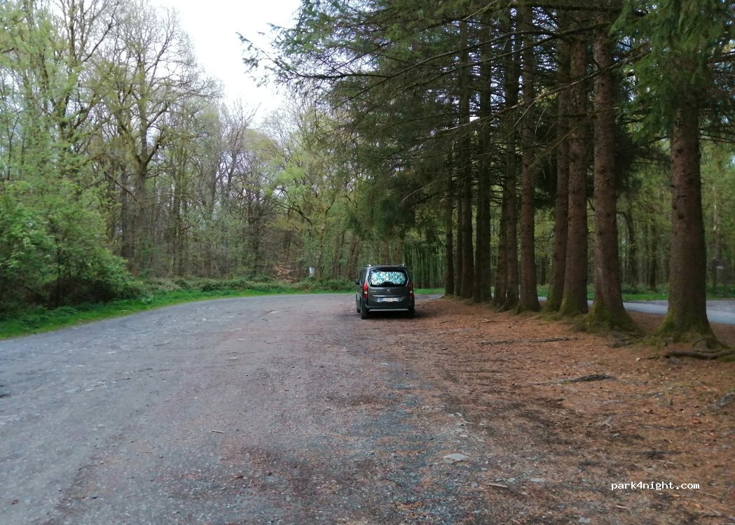 (08800) Tournavaux - Route forestière de la Lyre — foto 4