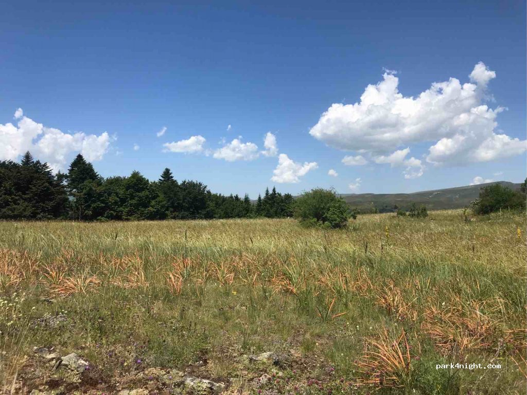 () Vërbeni - Unnamed Road — foto