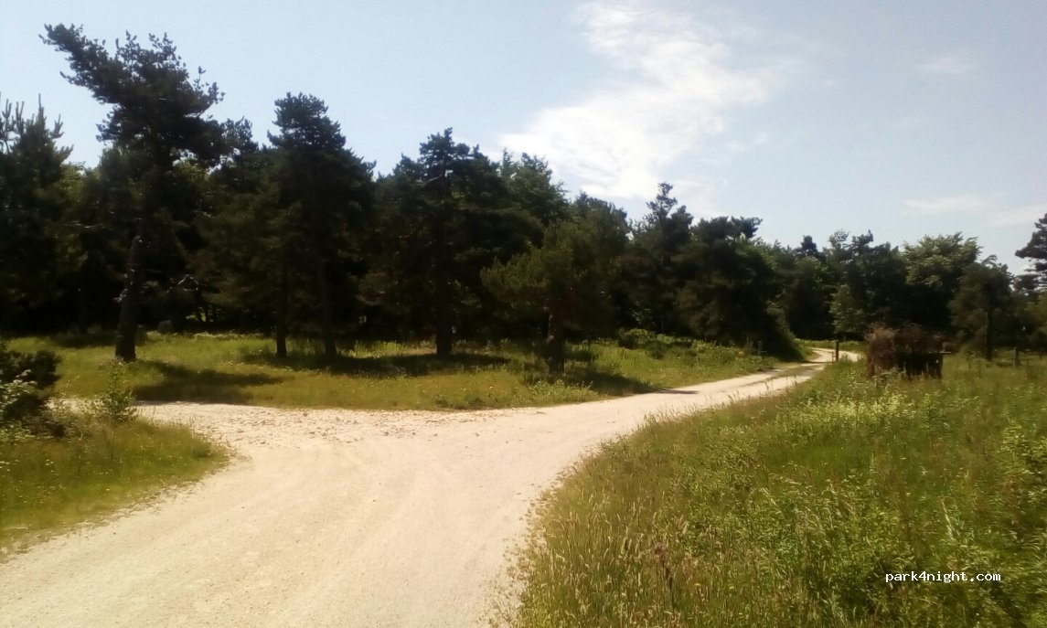 (48140) Saint-Privat-du-Fau - D989 — foto