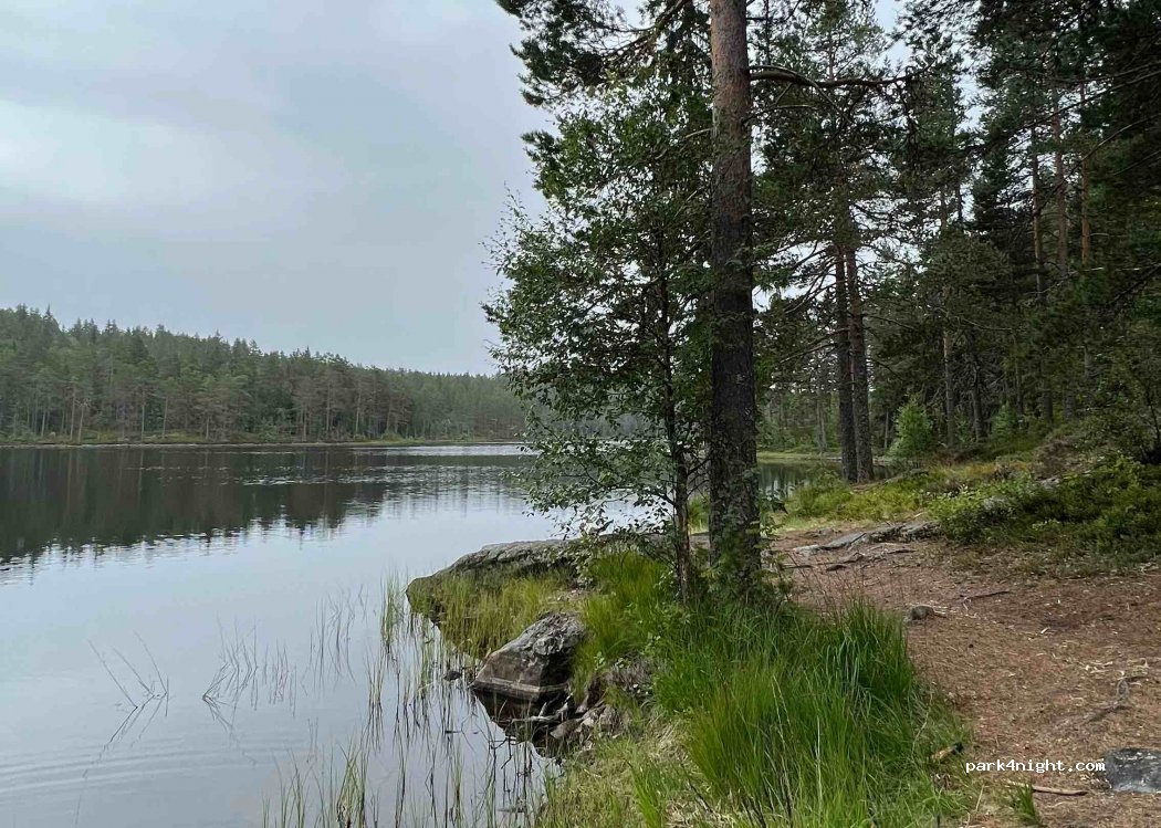 (3680) Notodden - Primær Fylkesveg 37 — foto 3