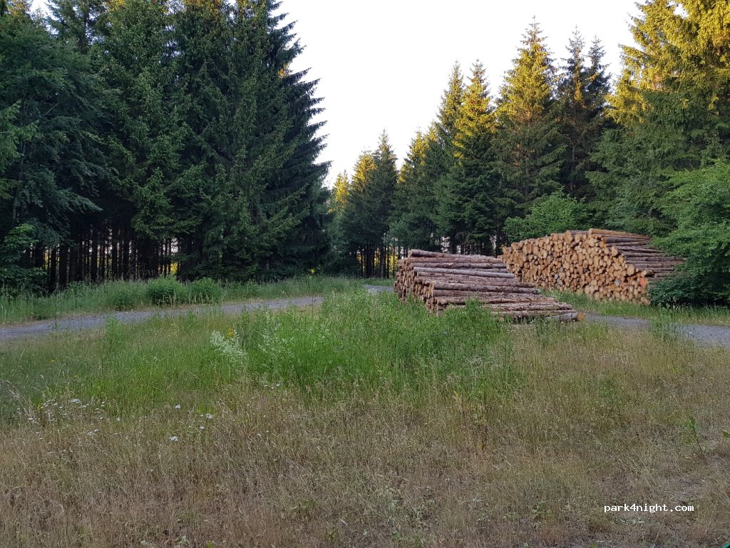 (38889) Elbingerode (Harz) - L96 — foto