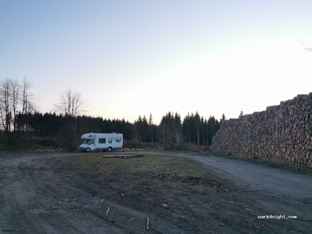 (38889) Elbingerode (Harz) - L96 — foto 3