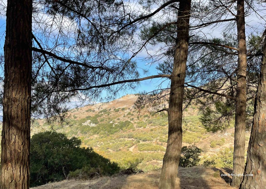 (740 51) Sisarcha - Eparchiaki Odos Tylisos - Anogion — foto 5