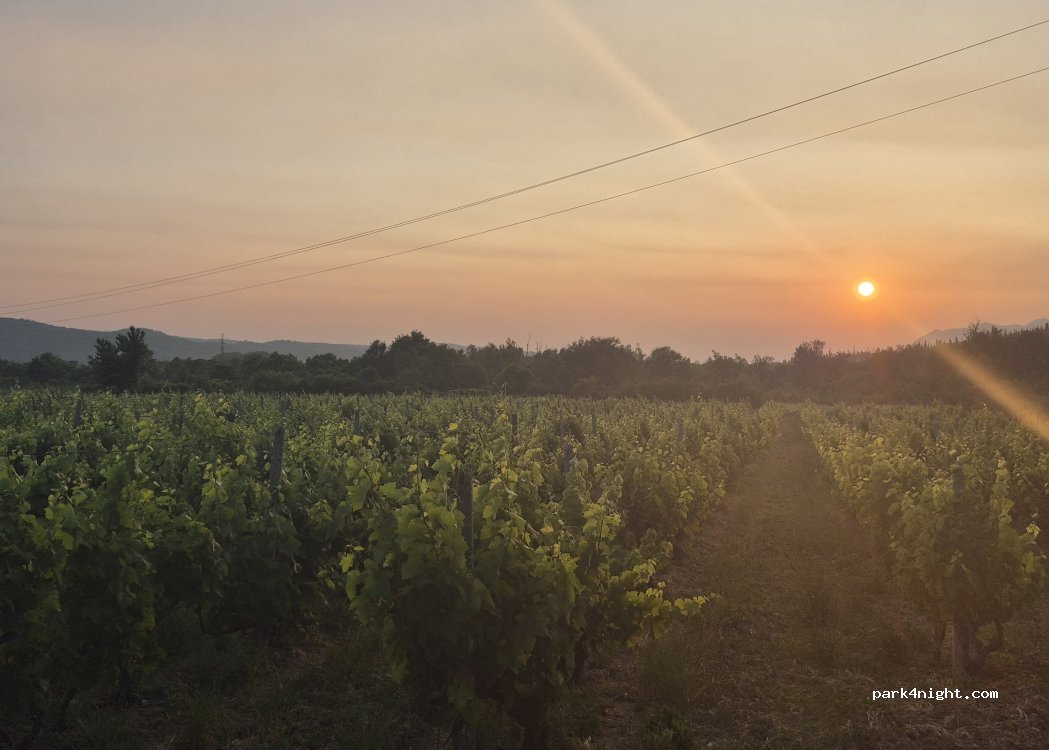 (20217) Ljuta - Ljuta — foto 4