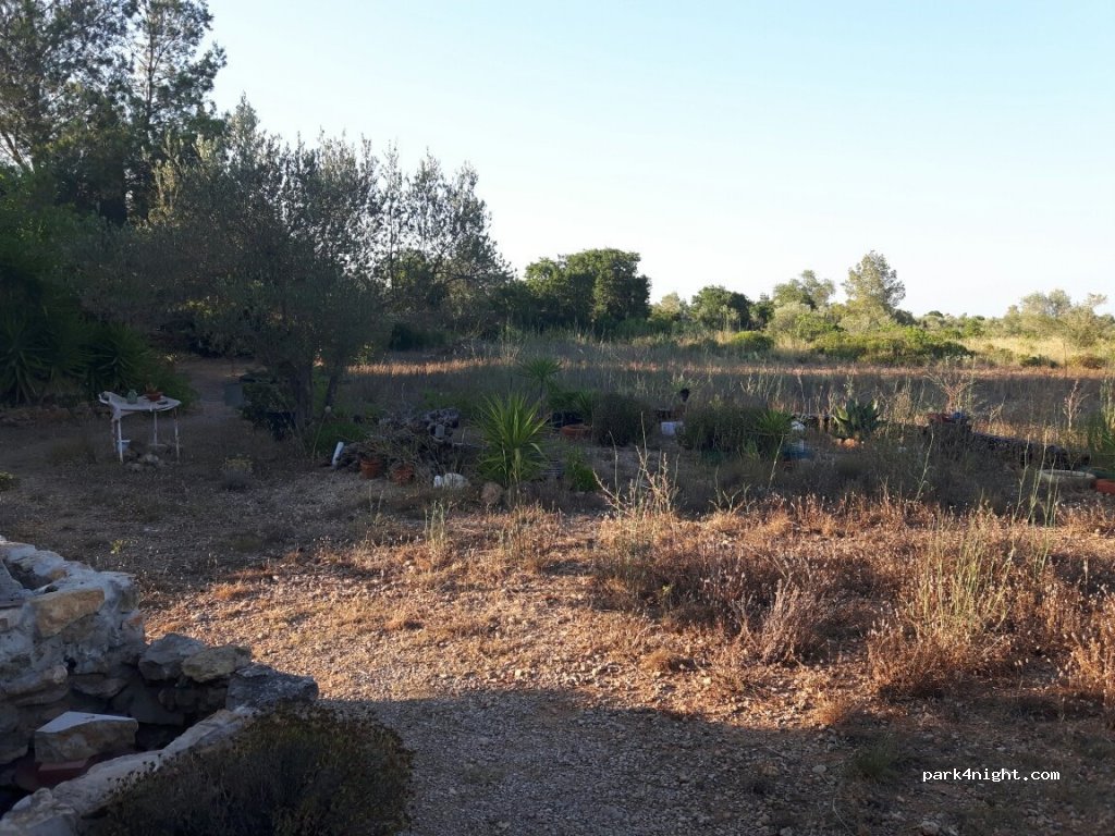 (43559) Ulldecona - — foto
