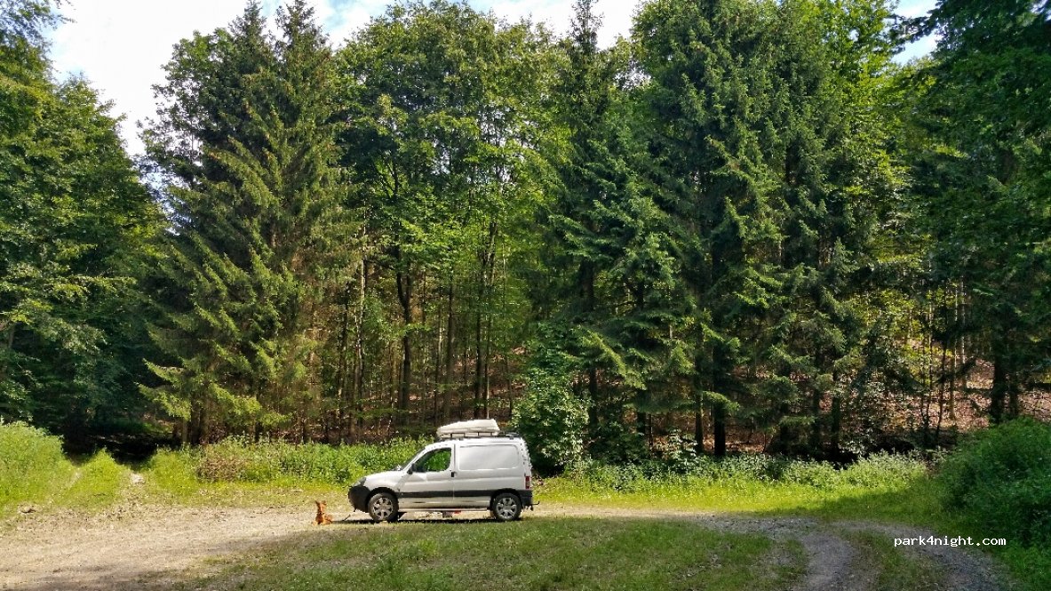 (31855) Aerzen - Unnamed Road — foto
