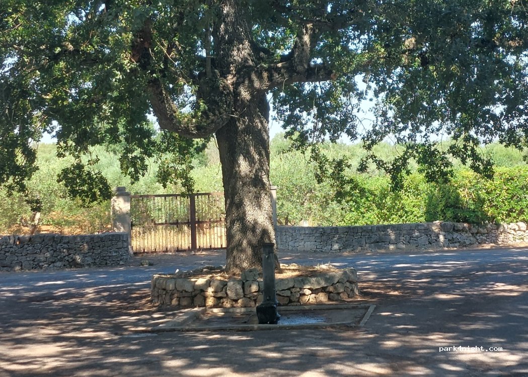 (70011) Alberobello - 15 Via Bosco Selva — foto