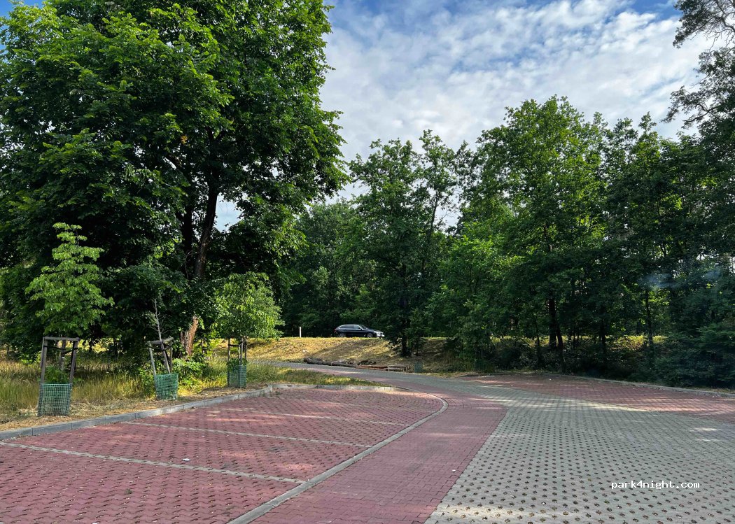 (69-110) Rzepin - 60 Poznańska — foto 3
