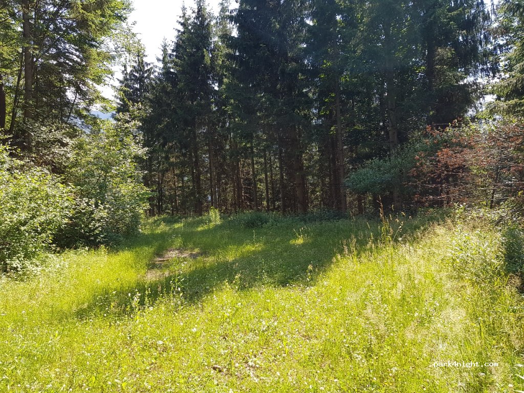 (8904) Ardning - 102 Frauenberg — foto