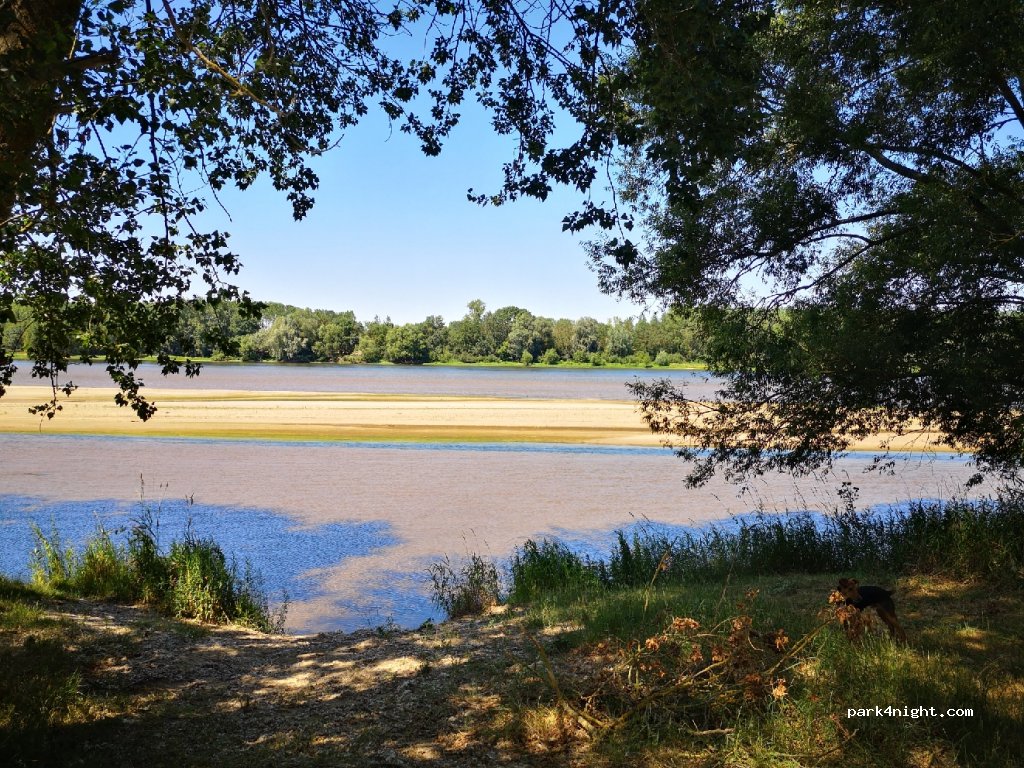 (49130) Saint-Jean-de-la-Croix - 24 Levée Ligérienne — foto 2