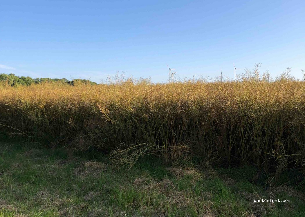 (33142) Büren - Unnamed Road — foto 2